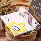 Newborn Baby Boy Photography Cartoon & Letter Graphic Blanket With 1pc Accessory
