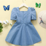 Young Girl Toddler Girls Butterfly Embroidery Puff Sleeve A-Line Denim Dress