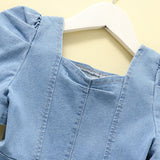 Young Girl Toddler Girls Butterfly Embroidery Puff Sleeve A-Line Denim Dress